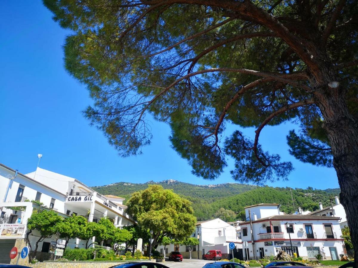 Pension Venta Julian Hca01134 El Bosque Exterior photo